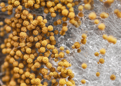 運維無保障，安全有隱患